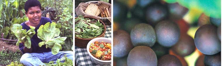Plants, Children, and Nutrition
