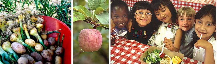 Rethinking School Lunch Seminar